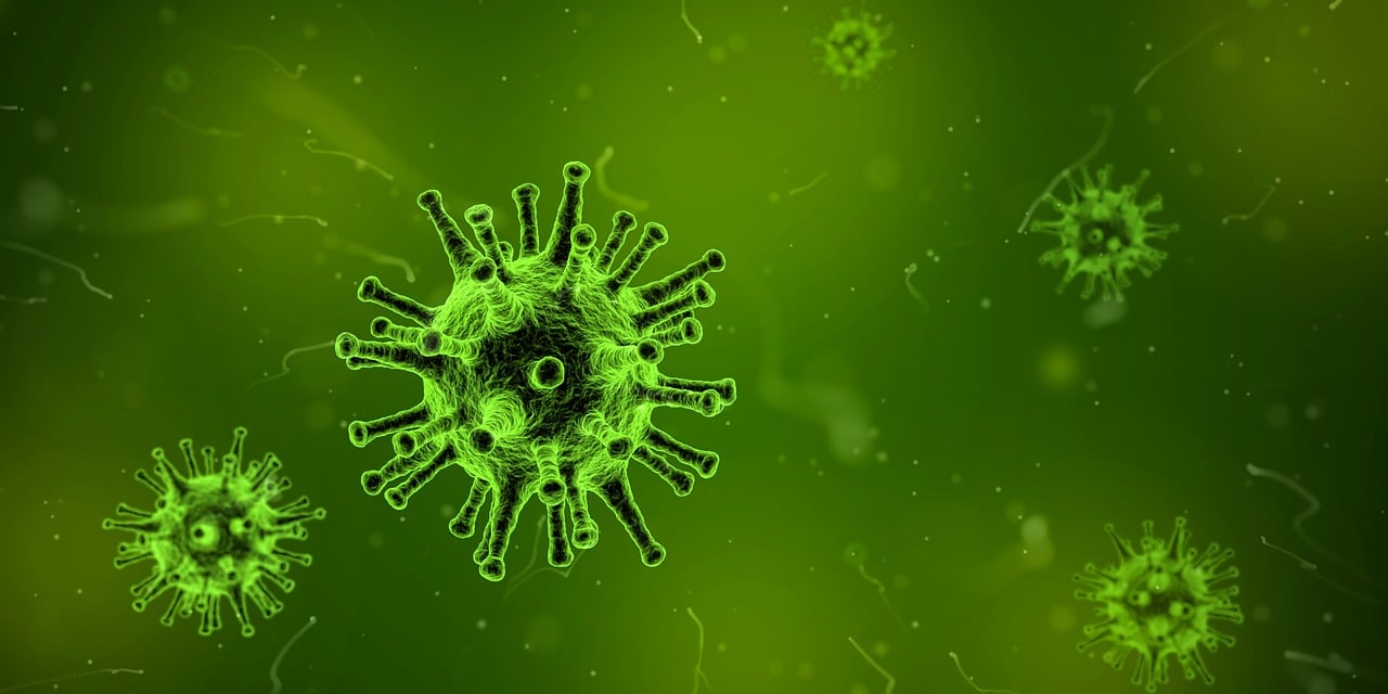 virus, microscope, infection, illness, medicine, health, medical, fever, disease, spread, vaccine, healthcare, viral, bacteria, outbreak, organism, micro, magnified, bio, human, cell, dirty, microscopic, microbiology, microbe, science, bacterium, biology, aggression, epidemic, flu, sickness, scientific, research, organic, experiment, biochemistry, biological, biotechnology, discovering, analyzing, sample, 3d, green virus, green health, green medical, green science, green death, green research, green medicine, green human, green healthcare